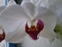 2011-06-28_15-39-53_0001.jpg