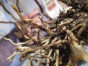 2012-01-02_13-28-52_0003.jpg