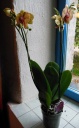 DSCN0061.JPG