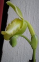 IMGP4233.JPG