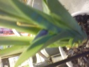 DSC00039.jpg