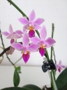 photo_258.JPG