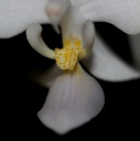 IMG_9244.JPG