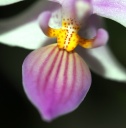 IMG_9296.JPG