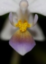 IMG_9396.JPG
