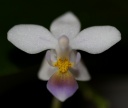 IMG_9397.JPG