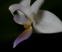 IMG_9398.JPG
