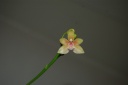 DSC_1678_28Copier29.JPG