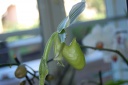 DSC_1962_28Copier29.JPG