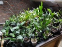 DSC02789.JPG