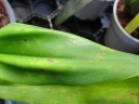 DSC03070.JPG