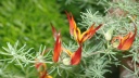 jardin_bota_Wash21.jpg
