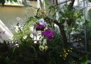 jardin_bota_Wash24.jpg