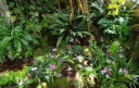 jardin_bota_Wash26.jpg