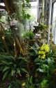jardin_bota_Wash27.jpg