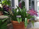 jardin_bota_Wash28.jpg