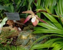jardin_bota_Wash30.jpg