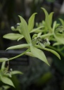 jardin_bota_Wash6.jpg