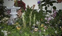smithsonian_orchids12.jpg