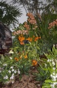 smithsonian_orchids3.jpg