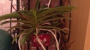 28022011117~0.JPG