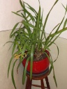 DSC00057.JPG