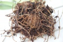 Nom du fichier=sphaigne_tueuse.jpg
Taille du fichier=76Ko
Dimensions : 800x533
Ajouté le : 23 Mars 2012 sphaigne_tueuse.jpg