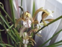 DSCF1359.jpg