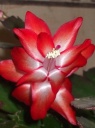 DSCF0582.JPG