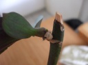 DSCF8982.JPG