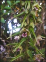 IMG161_1.jpg