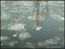 P2110043_copie.jpg