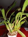 DSCN0031.jpg
