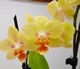 DSC00163.jpg