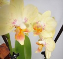 DSC00180.JPG