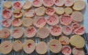 DSC00258.JPG