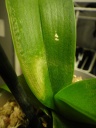 DSC00745.JPG