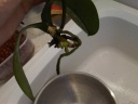IMG-20120311-00299.jpg