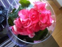 IMG-20120317-00313.jpg