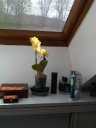 IMG-20120401-00349.jpg