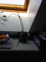 IMG-20120401-00350.jpg
