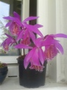 20150417_150935.jpg