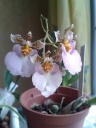20150507_162452.jpg