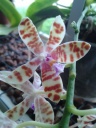 20150525_095954.jpg