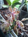 20150525_100208.jpg
