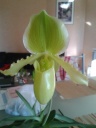 20160229_102435.jpg