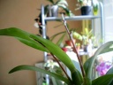 IMGP0879.JPG