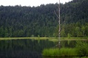 Lispach_28329.JPG