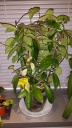 20140224_000042.jpg