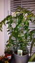 20140228_001506.jpg